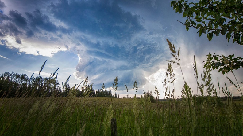 Artsy Fartsy - Ryan Wunsch